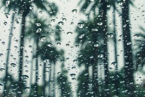 Monsoon - In Indien - wenn es regnet - dann richtig
